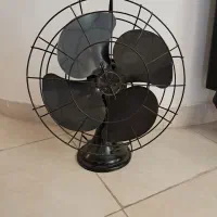 کاملا سالم هم تزئینی و هم کاربردی