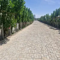 خدمات باغبانی طراحی و اجرای فضای سبز گلکاری نهال|خدمات باغبانی و درختکاری|همدان, |دیوار
