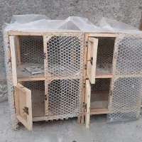 قفس جفتگاه کبوتر