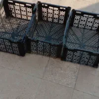 سبد میوه