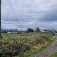 ۱۲ هزار متر با سند/مستعد تغییر کاربری|فروش زمین و ملک کلنگی|املش, |دیوار