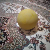 توپ|ورزش‌های توپی|کرمانشاه, |دیوار