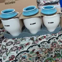 پاسماوری نو داخل کارتون