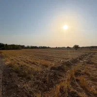 زمین کشاورزی، باغچه ای|فروش دفتر صنعتی، کشاورزی، تجاری|نظرآباد, نظرآباد|دیوار