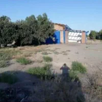 ملک با کاربری کارگاهی صنعتی با ۱۵۰۰ متر سوله صنعتی|فروش دفتر صنعتی، کشاورزی، تجاری|ورامین, ورامین|دیوار