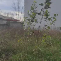 زمین مسکونی 283