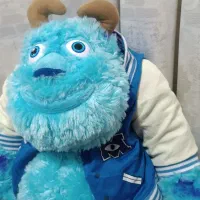 عروسک سالیوان|اسباب‌‌بازی|مشهد, فاطمیه|دیوار