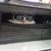 وسائل خانگی|سیستم صوتی خانگی|سمنان, |دیوار