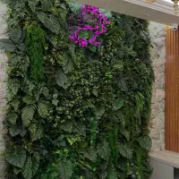 دیوار سبز مصنوعی ماندگار (گرینوال) حالت طبیعی
