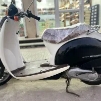 پاکشتی تمیز قیمت مناسب