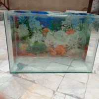 آکواریوم کامل با تمام وسایل