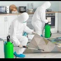 سمپاشی ساس سوسک موش کنه کک گال شرکت تخصصی ضمانتی