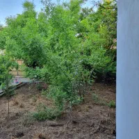 ویلایی شهرک انصاری (لاله)