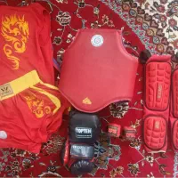 ووشو کیک بوکس