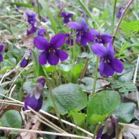 انجام تخصصی اموراداری،بانکی،مالیاتی،بیمه و