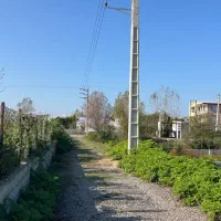 فرصت طلایی ساخت ویلا در بهترین لوکیشن جنگلی