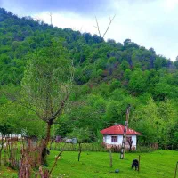 زمین-روستا-علوی-مشهد-اردهال