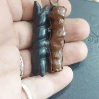 گردنی سنگ یشم عباس اباد و هبهاب درختی