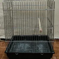 قفس|لوازم جانبی حیوانات|اهواز, حصیرآباد|دیوار