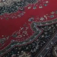 فرش۱۲متری لاکی|فرش|ساوه, |دیوار