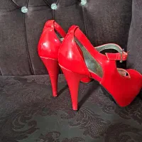 مجلسی درحدنو|کیف، کفش، کمربند|نقده, |دیوار