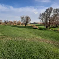سرایدار ویلا