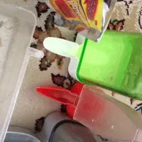 فنچ مصری مولد باجوجه۱۵۰۰|پرنده|بندر ماهشهر, |دیوار