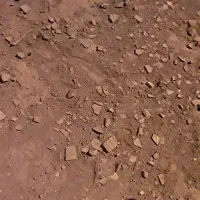 زمین زاهدان