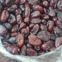 خرمای جنوب تازه امسال|خوردنی و آشامیدنی|قم, شهرک امام حسین|دیوار