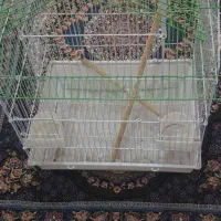 قفس کلبه ای طوطی