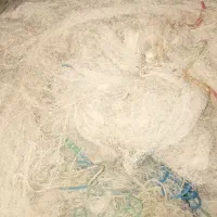 تور ماهیگیری