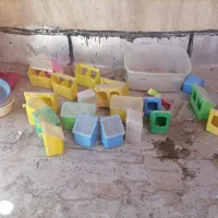 آبخوری و دان خوری|لوازم جانبی حیوانات|چهارباغ, |دیوار