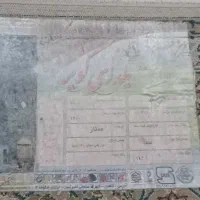 فرش ۶ متری در حد نو
