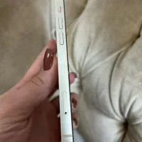 آیفون۱۳|موبایل|تهران, تهرانسر شمالی|دیوار