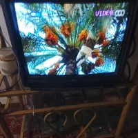 تلویزیون درهد