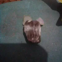 انواع سنگهای شیشهای وشهاب سنگها|کلکسیون اشیاء عتیقه|سیاهکل, |دیوار