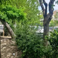 700متر-بر-17-دونبش-کنسول-خور-با-جواز-سرمایه-گذاری