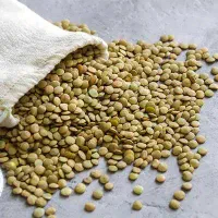 خریدار عدس