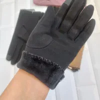 دستکش زنانه زمستانه|لباس|شیراز, باغ تخت|دیوار