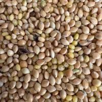 ارزن اصفهان