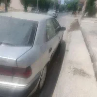 زانتیا نقرهای