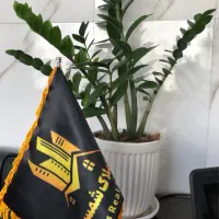 طالقانی شمالی ابتدای کوچه ناصری