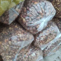 فروش ضایعات قصب