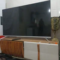 تلویزیون وگار