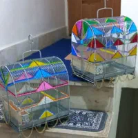 قفس  سهره  دهندار  قناری
