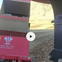 سنگ جمع کن سنابل