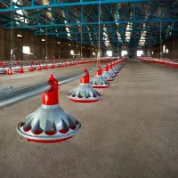 آبخوری نیپل و دانخوری اتوماتیک قفس کاسپین