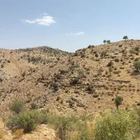 چوپان
