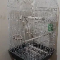 قفس عروس بزرگ و تمیز  بالوازم