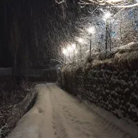 ویلای کوهستانی رونا